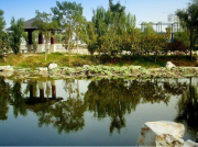 為什么現在南方電機比以前更容易燒壞？